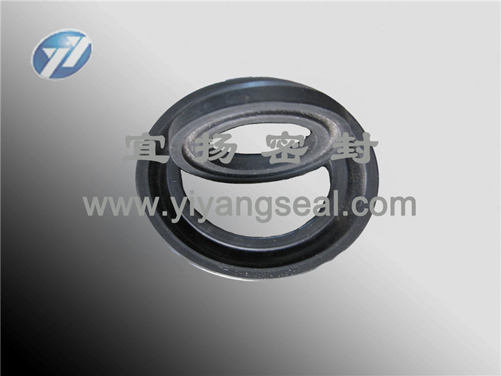 Oil seal Oil seal